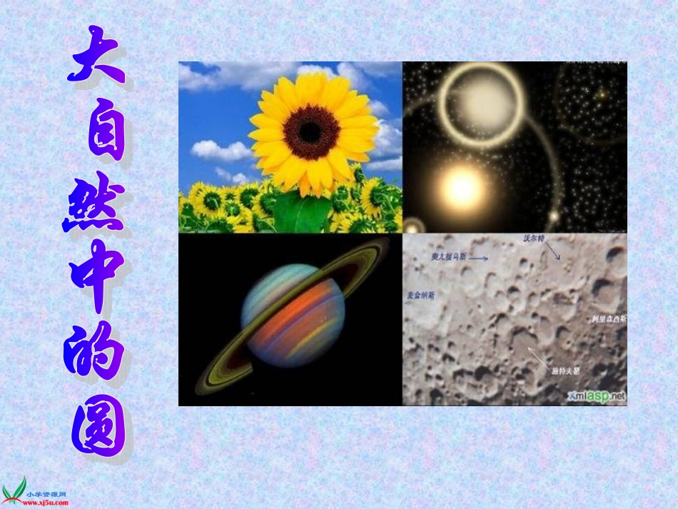 北师大版六年级数学上册《圆环面积》PPT课件_第3页
