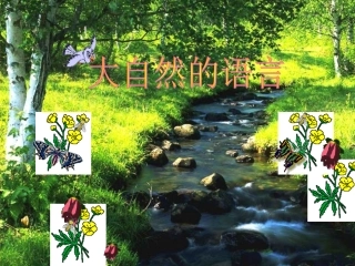 《大自然的语言》课件