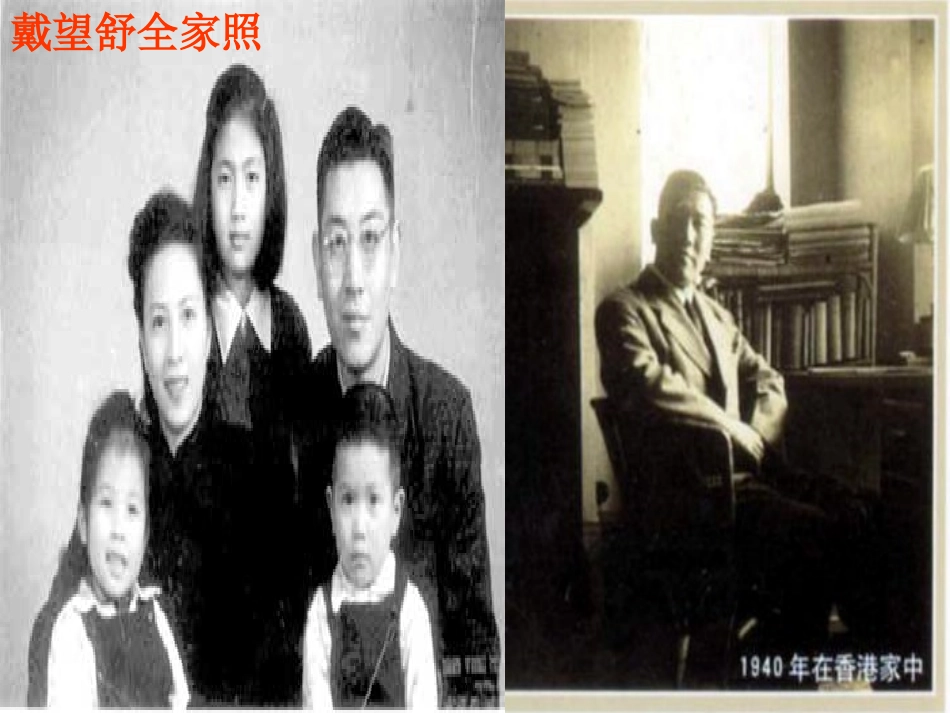 《我用残损的手掌》课件PPT (2)_第2页