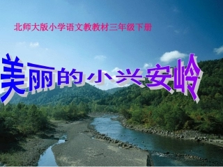 小学语文第六册《美丽的小兴安岭》课件