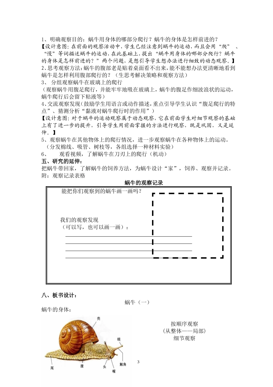 立足四点，有效观察——蜗牛教学案例201408_第3页
