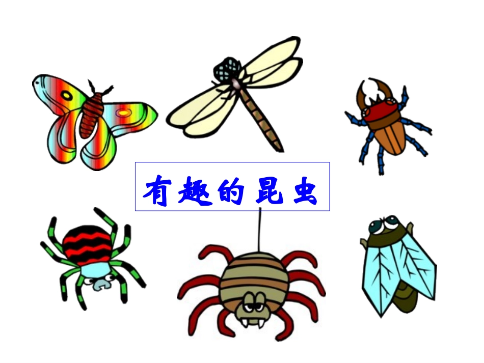 轴对称图形课件_第3页