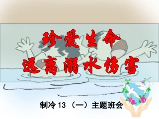 防溺水主题班会（制冷13）