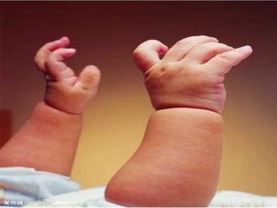 神奇的手PPT模板_第3页