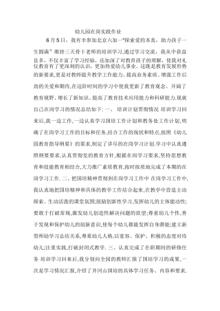 幼儿园在岗实践作业