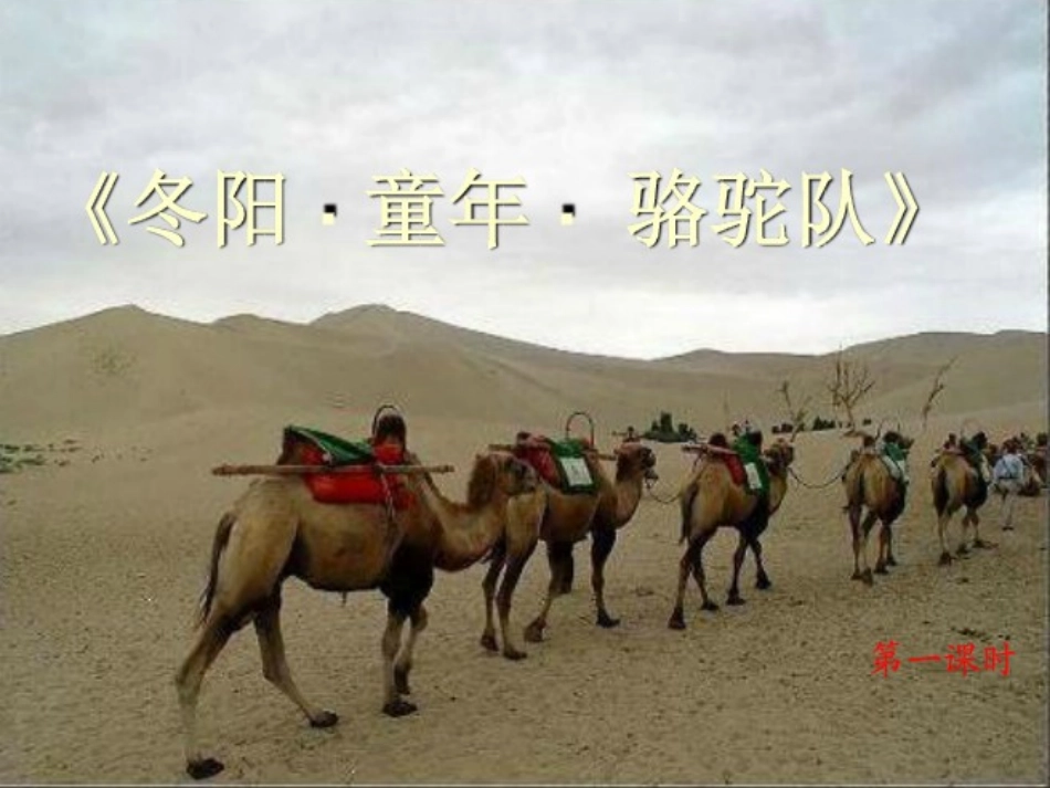 东阳童年骆驼队_第1页