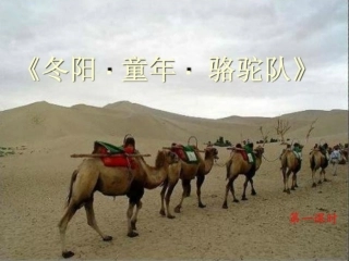 东阳童年骆驼队