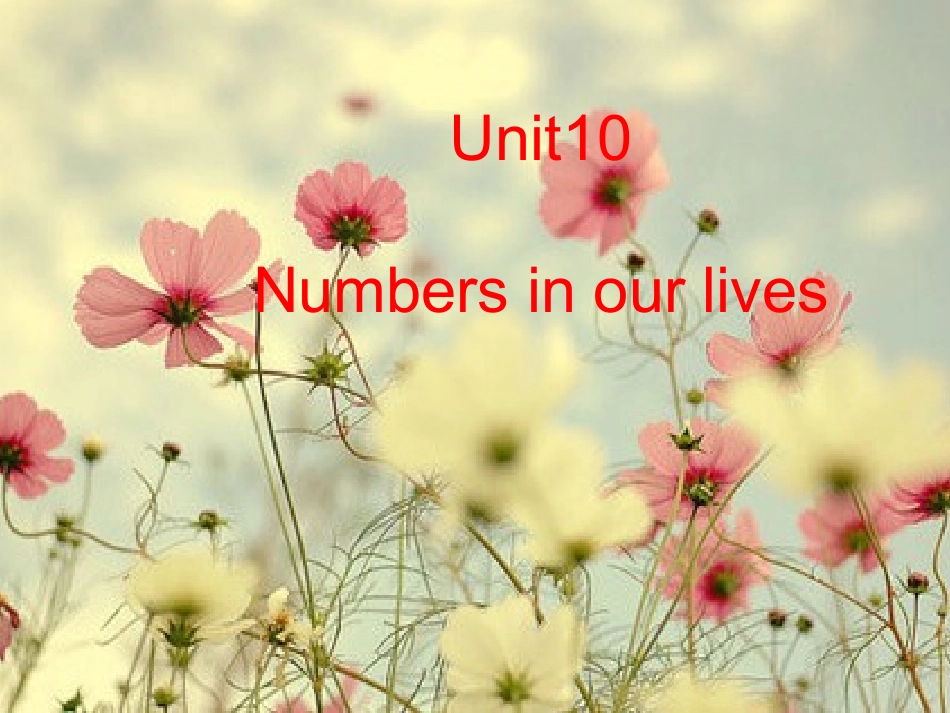 剑桥少儿英语一级B第十课numbers3_第1页