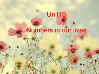剑桥少儿英语一级B第十课numbers3