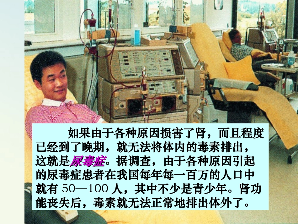 生物：112《人体废物的排出》课件(苏教版七年级下)[1]_第2页