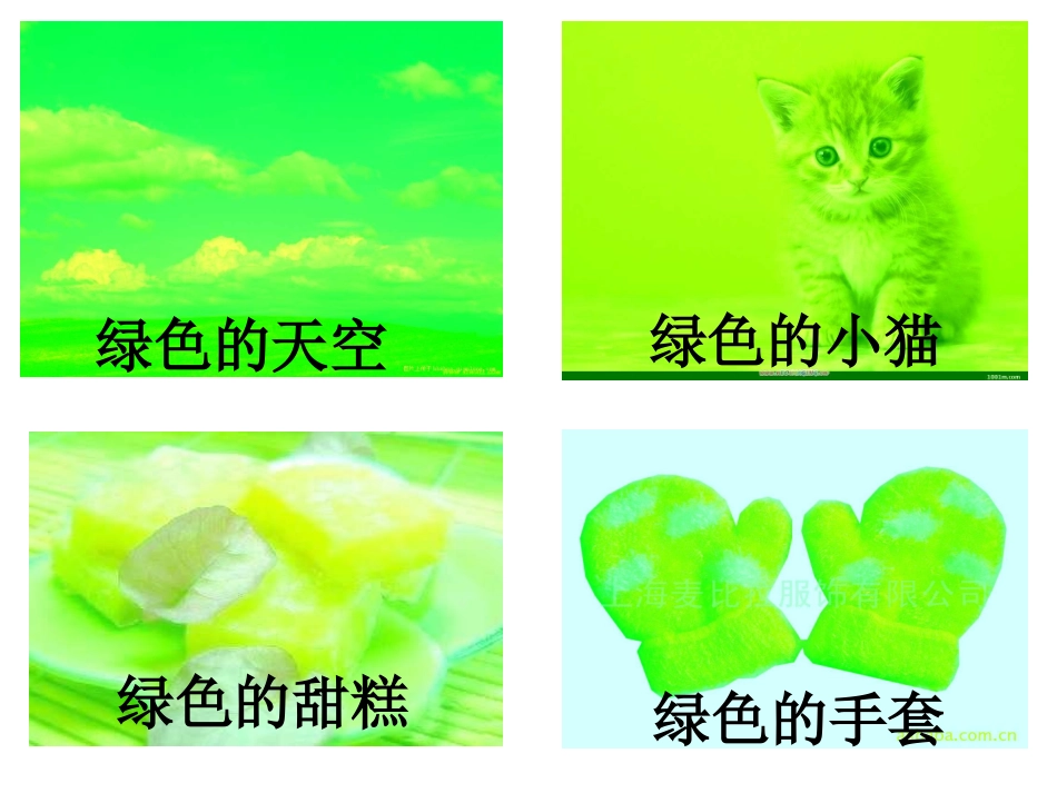 绿色的世界__课件_第2页
