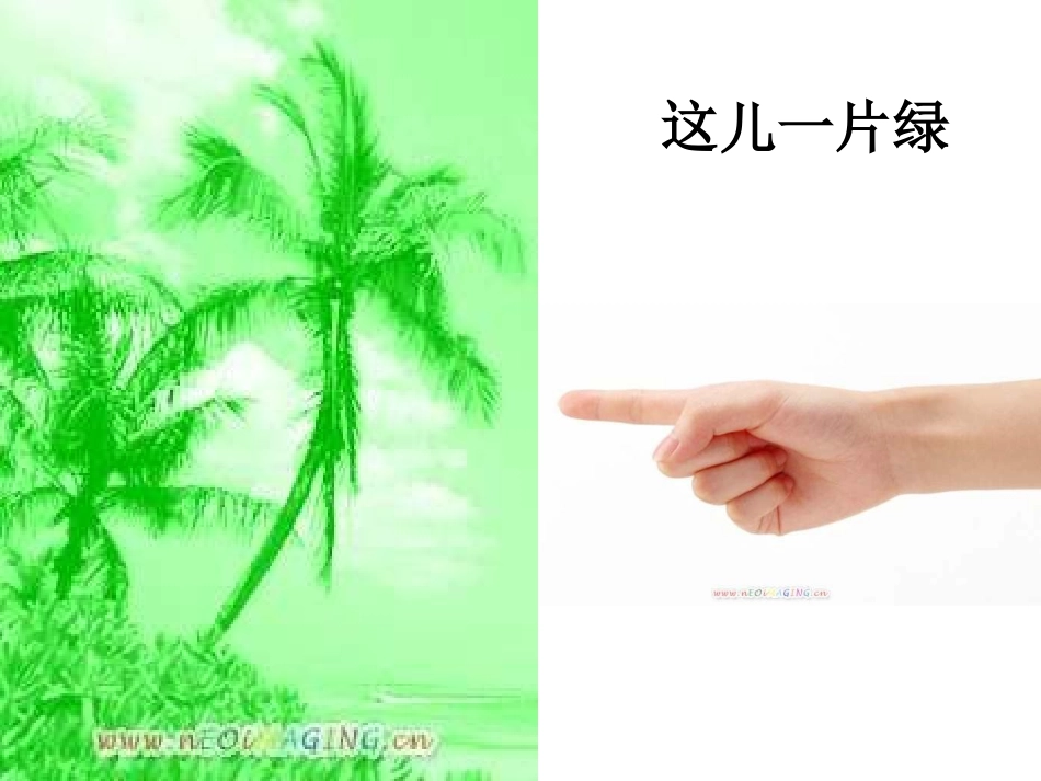 绿色的世界__课件_第3页