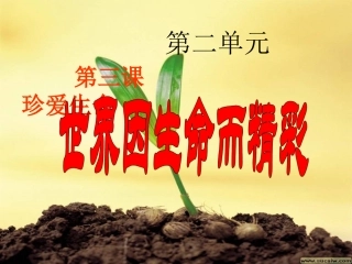 七年级上思想品德第三课第一框世界因生命而精彩