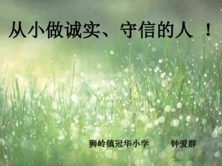 从小做诚实守信的人(主题班会）