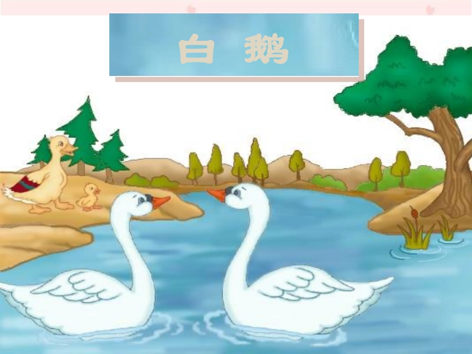 《白鹅》教学演示课件_第1页