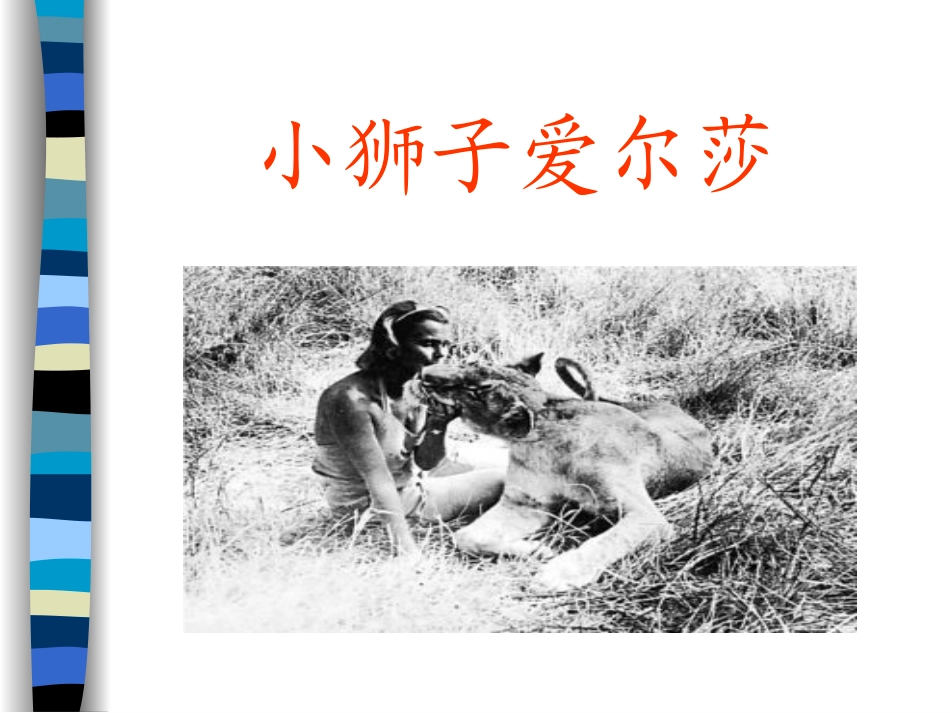 《小狮子爱尔莎2》PPT课件[1]_第1页