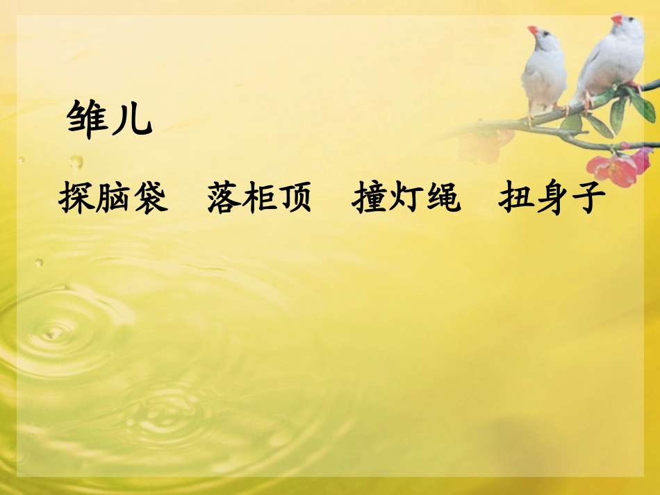 祝禧《珍珠鸟》_第3页