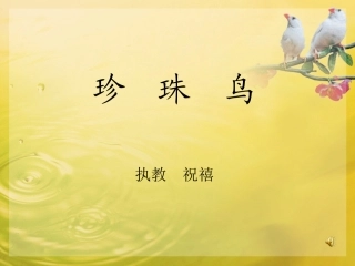祝禧《珍珠鸟》