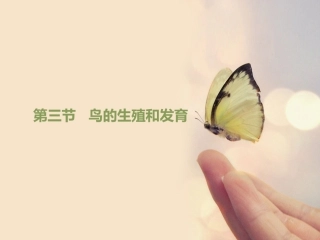 昆虫的生殖和发育(2)