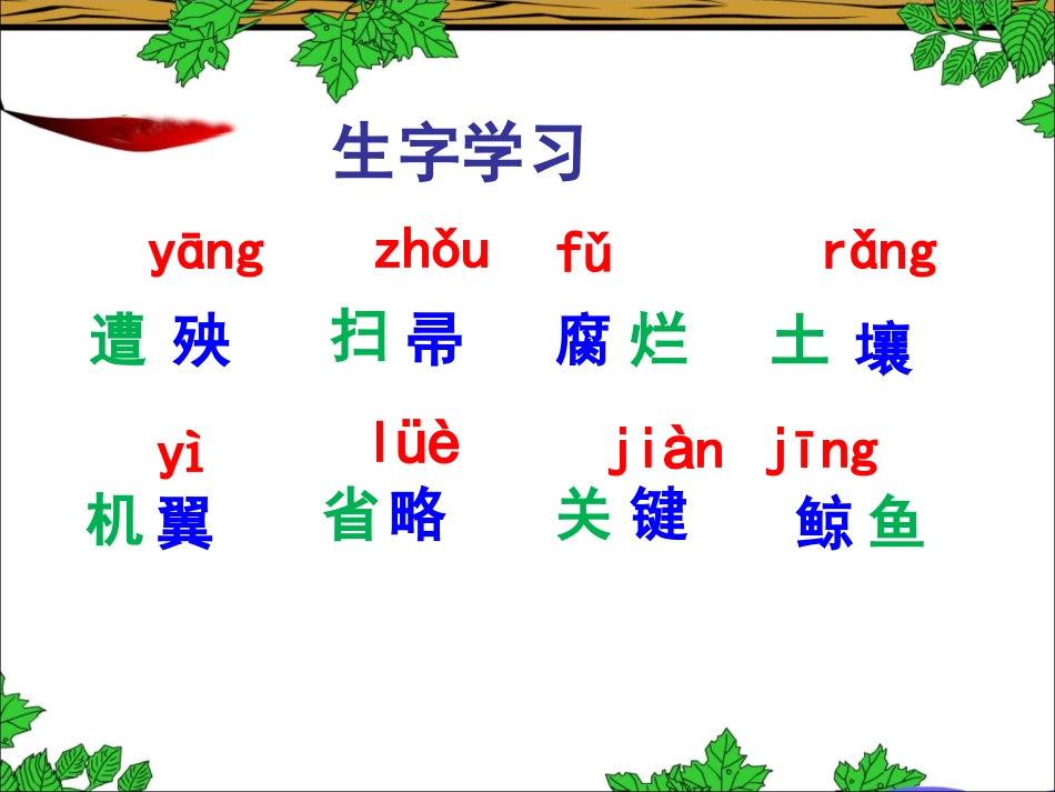《大自然的启示》教学课件1 (2)_第3页