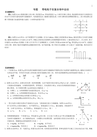 专题带电粒子在复合场中运动