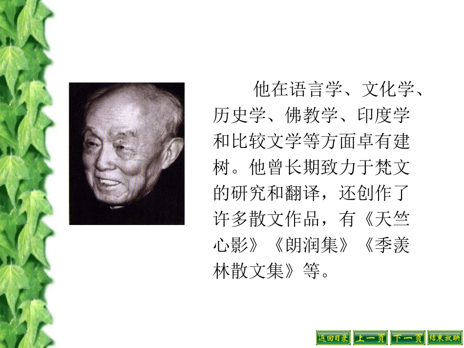 《幽径悲剧》课件_第3页