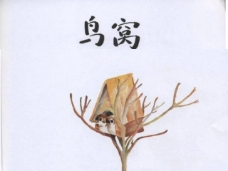 幼儿大班语言鸟窝 (2)