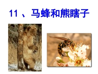马蜂和熊瞎子
