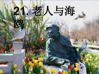 小学语文六年级上册21课《老人与海鸥》PPT[1]