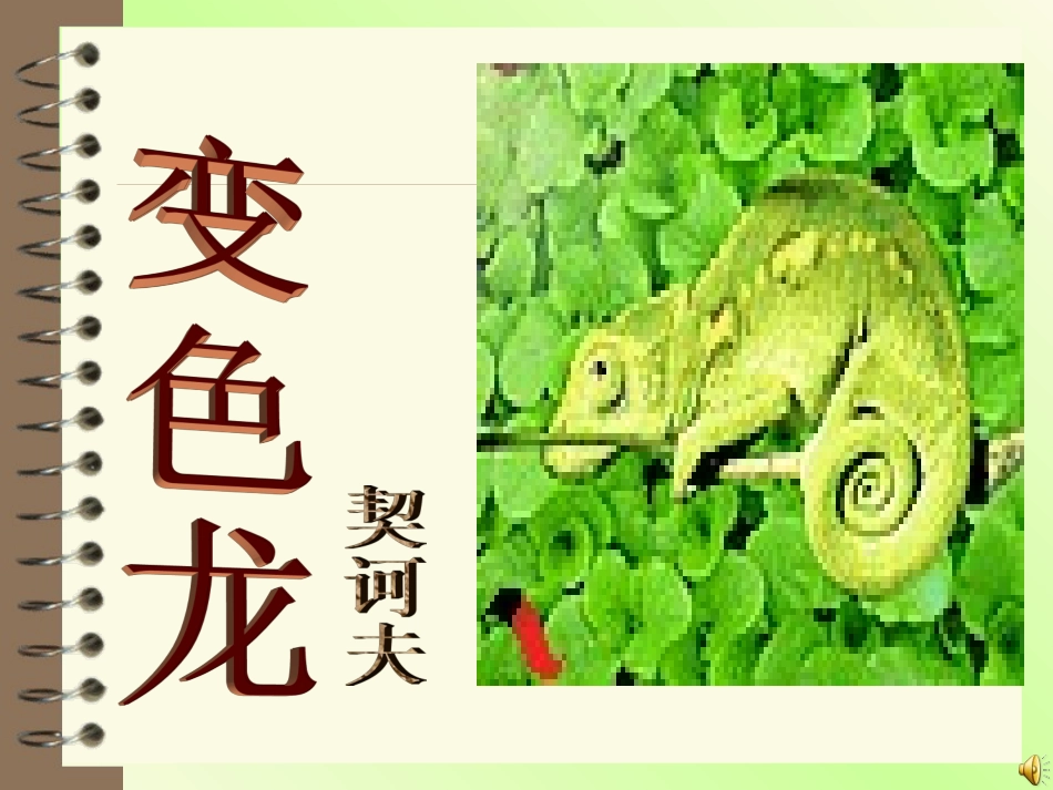 《变色龙》课件 (2)_第1页