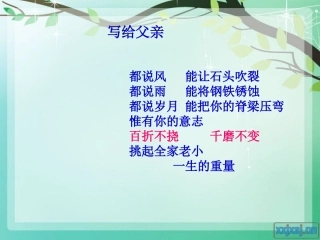 企鹅爸爸课件 (2)