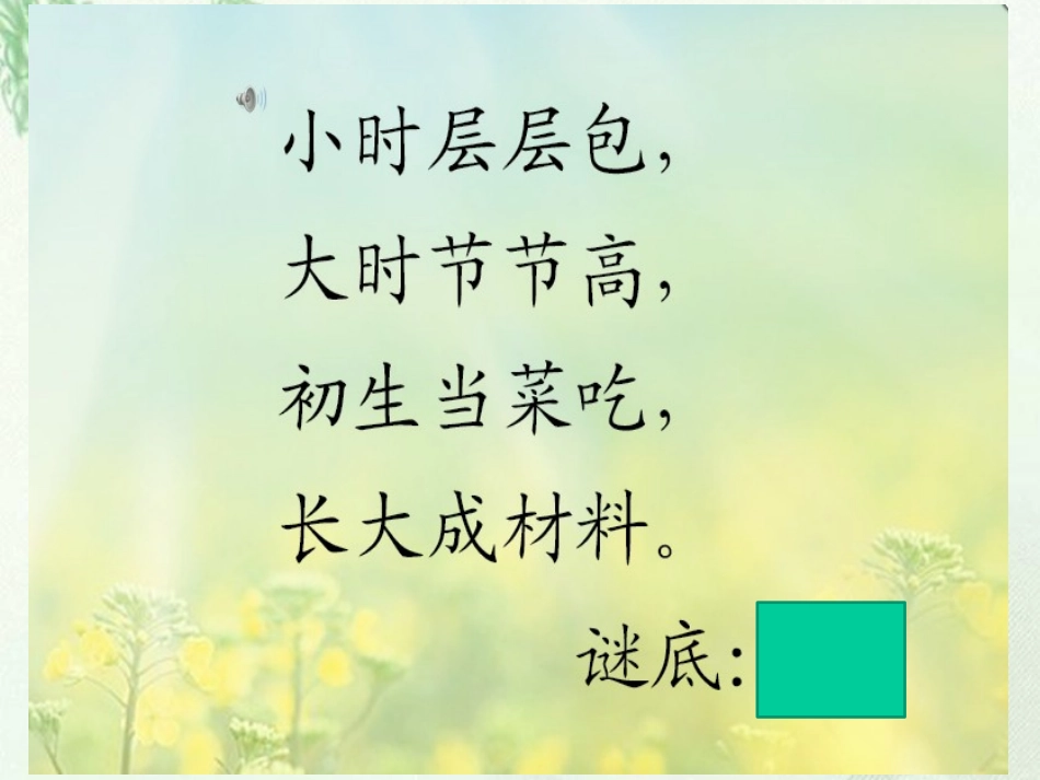 《3笋芽儿》二年级下_第1页