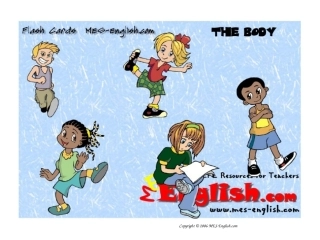 儿童英语_身体部位