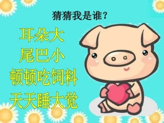 健康《小猪变干净了》