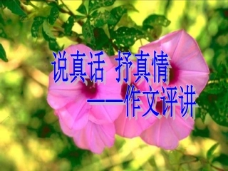 《说真话_抒真情》作文评讲PPT课件