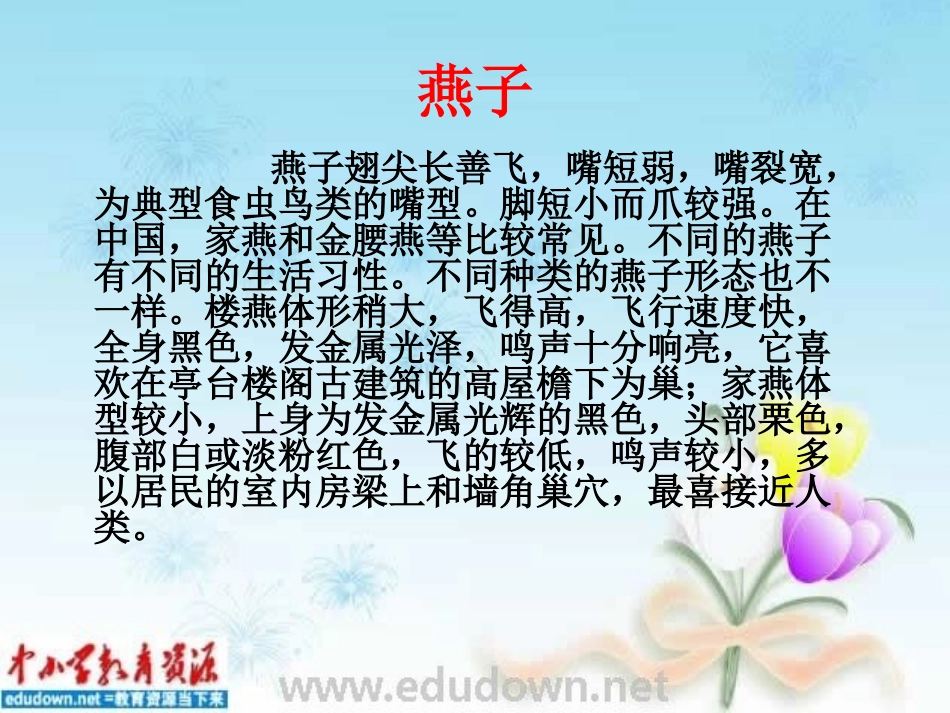 《小燕子》PPT课件_第3页