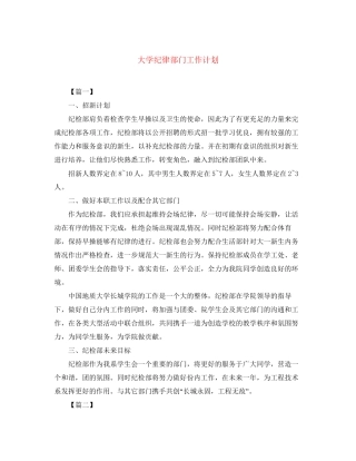 大学纪律部门工作计划