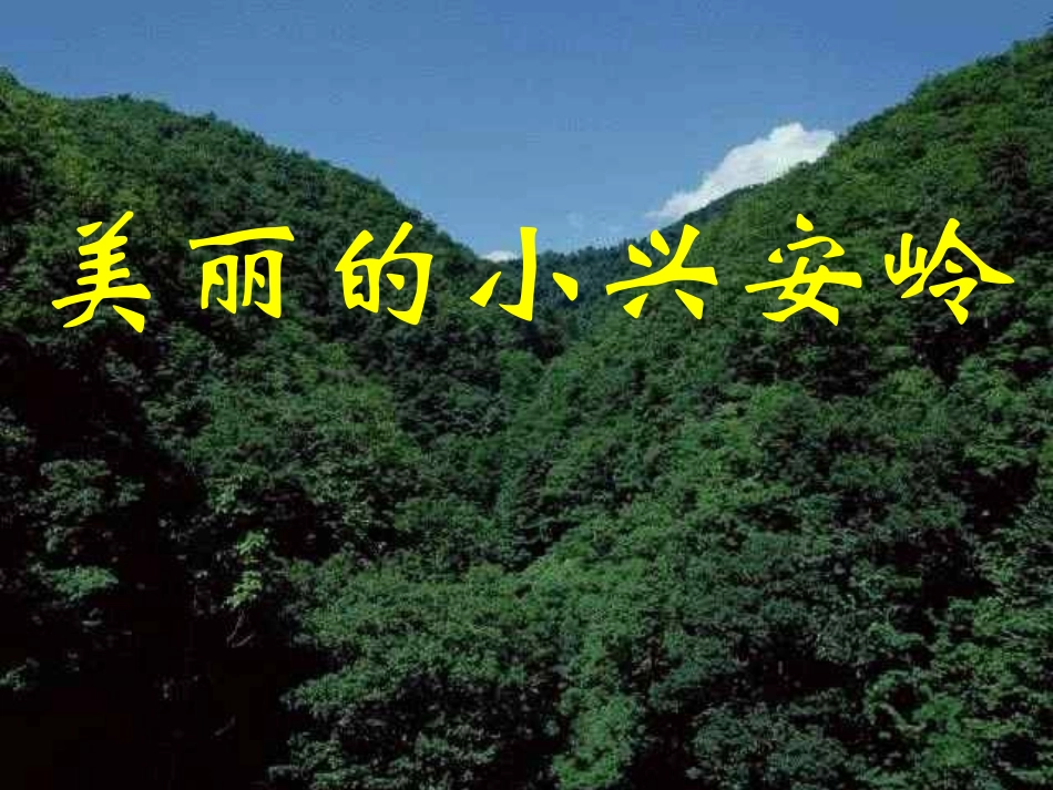 《美丽的小兴安岭》PPT马红梅_第1页