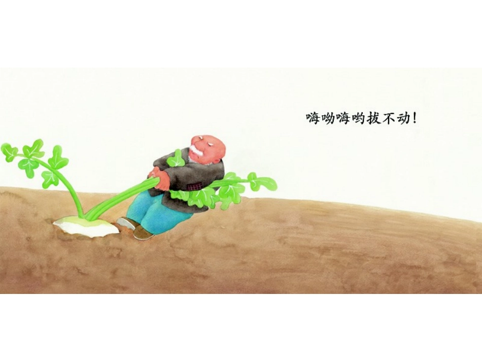 绘本故事拔呀拔呀拔萝卜_第3页