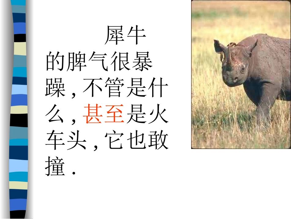 小狮子艾尔莎_第3页