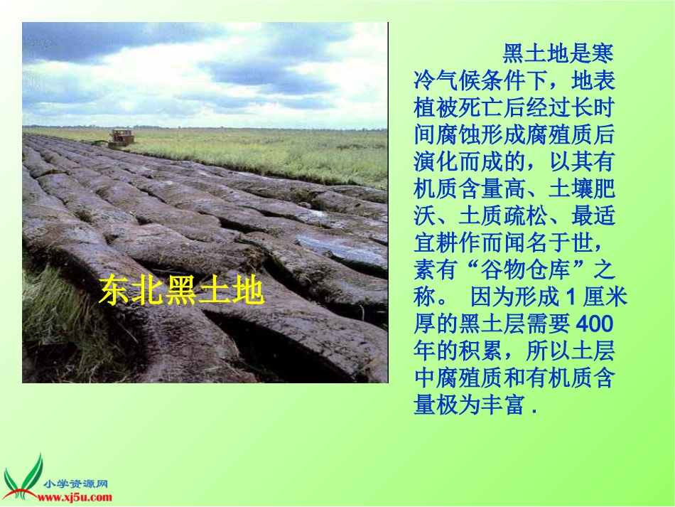 苏教版三年级科学下册课件_《我们周围的土壤》_第2页