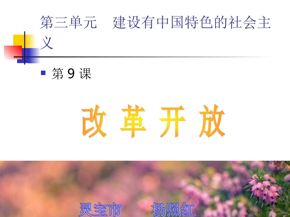 八年级历史下册第9课_改革开放课件人教版_第2页