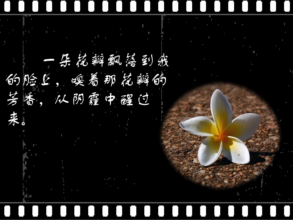 《石头会说话》兰德刘珂_第3页