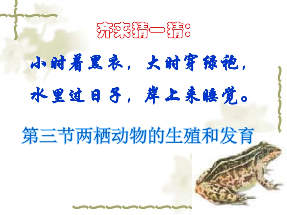 八下7113两栖动物的生殖和发育_第2页