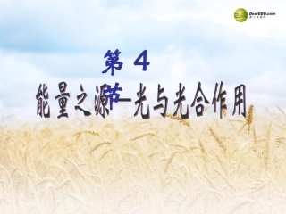 高中一年级生物必修1第5章细胞的能量供应和利用第4节能量之源──光与光合作用第一课时课件
