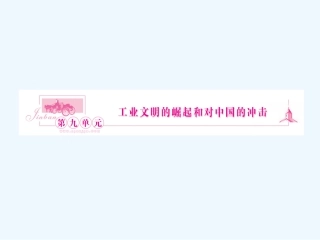 《金版新学案》2011高三历史一轮复习 第17讲 新航路开辟和欧洲殖民扩张课件 岳麓版