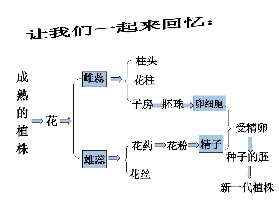 无性生殖的应用-扦插和嫁接jiangke_第2页