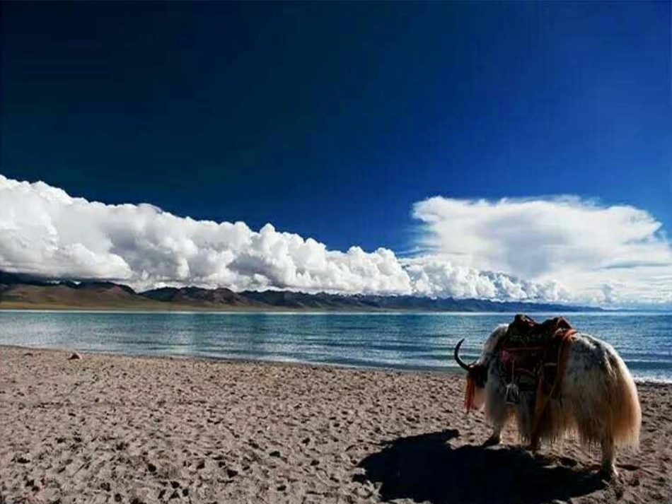 文成公主进藏_第2页