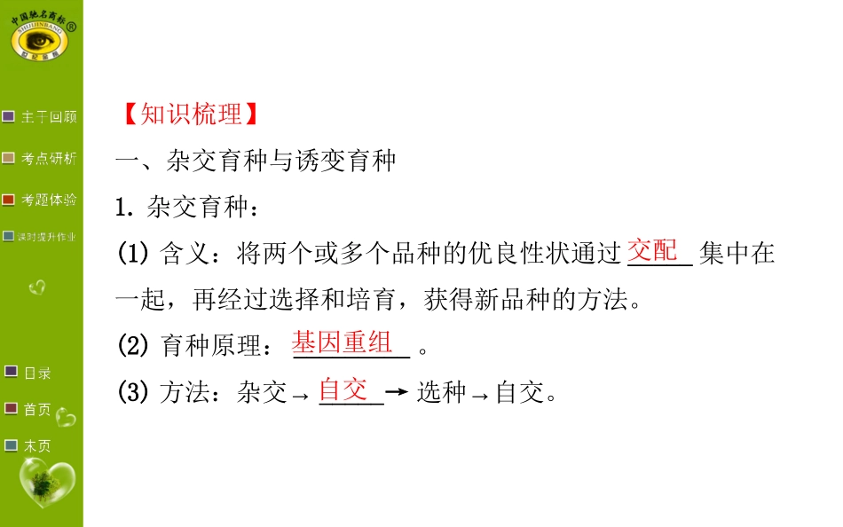 高中生物必修二第六章复习_第3页