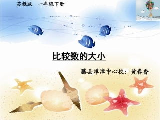 《比较数的大小》